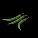 Groene Chilipeper