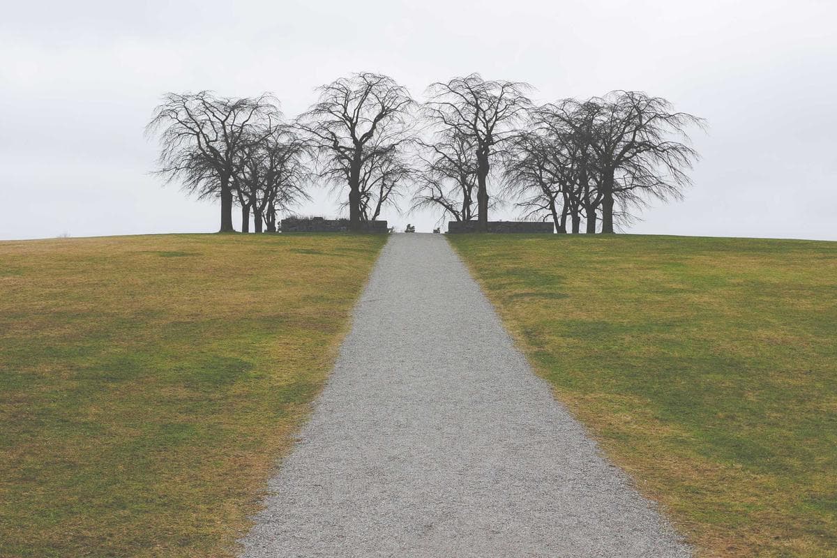 Het bruisende stadspark was een groene oase